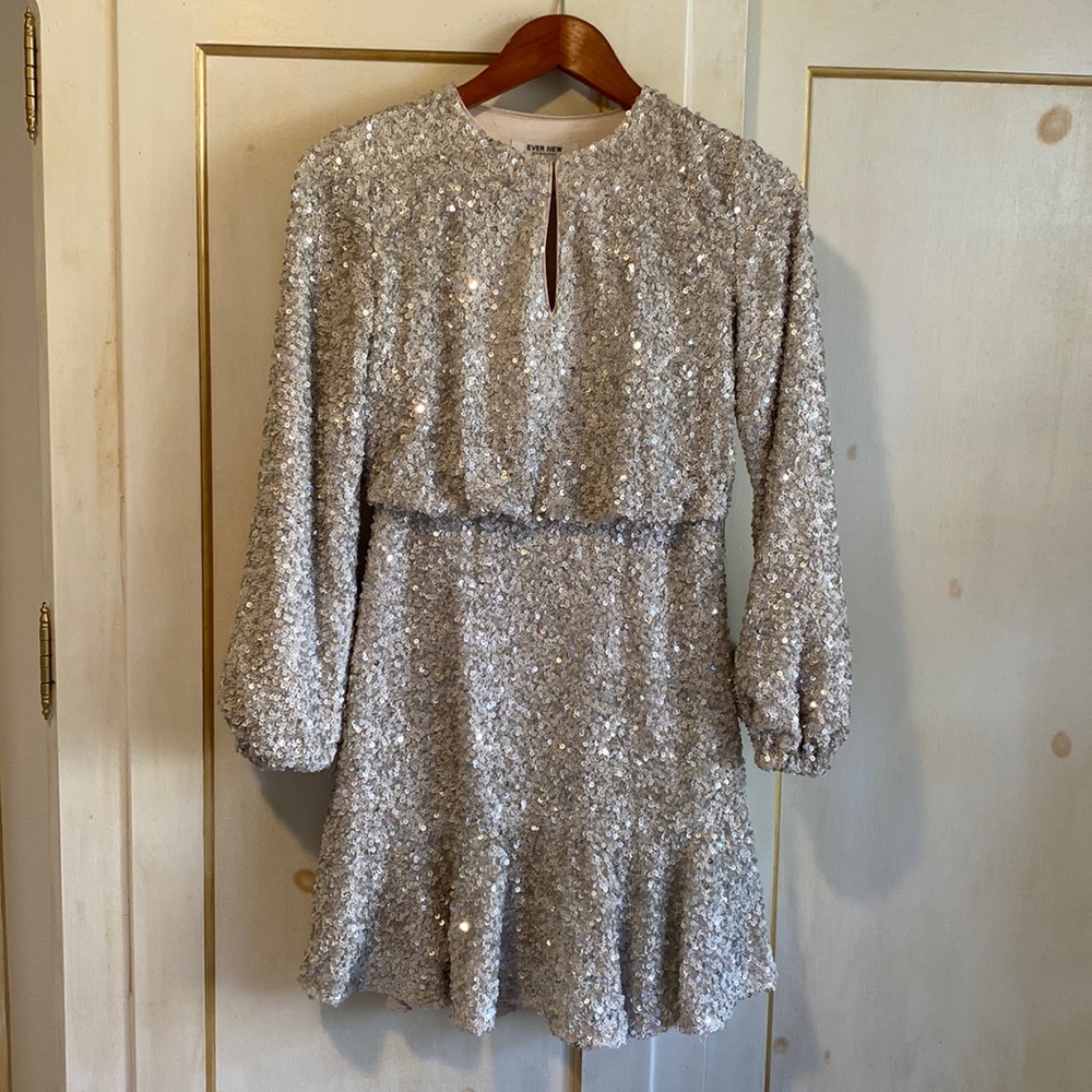 Ever New Silver Sequin Dress